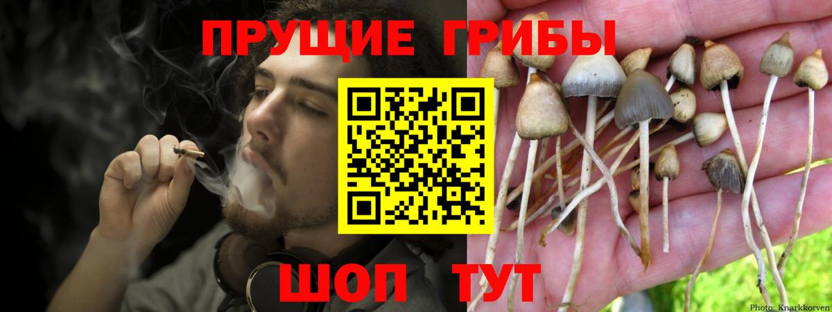 Псилоцибиновые грибы прущие грибы  Вход с VPN  Лабытнанги 